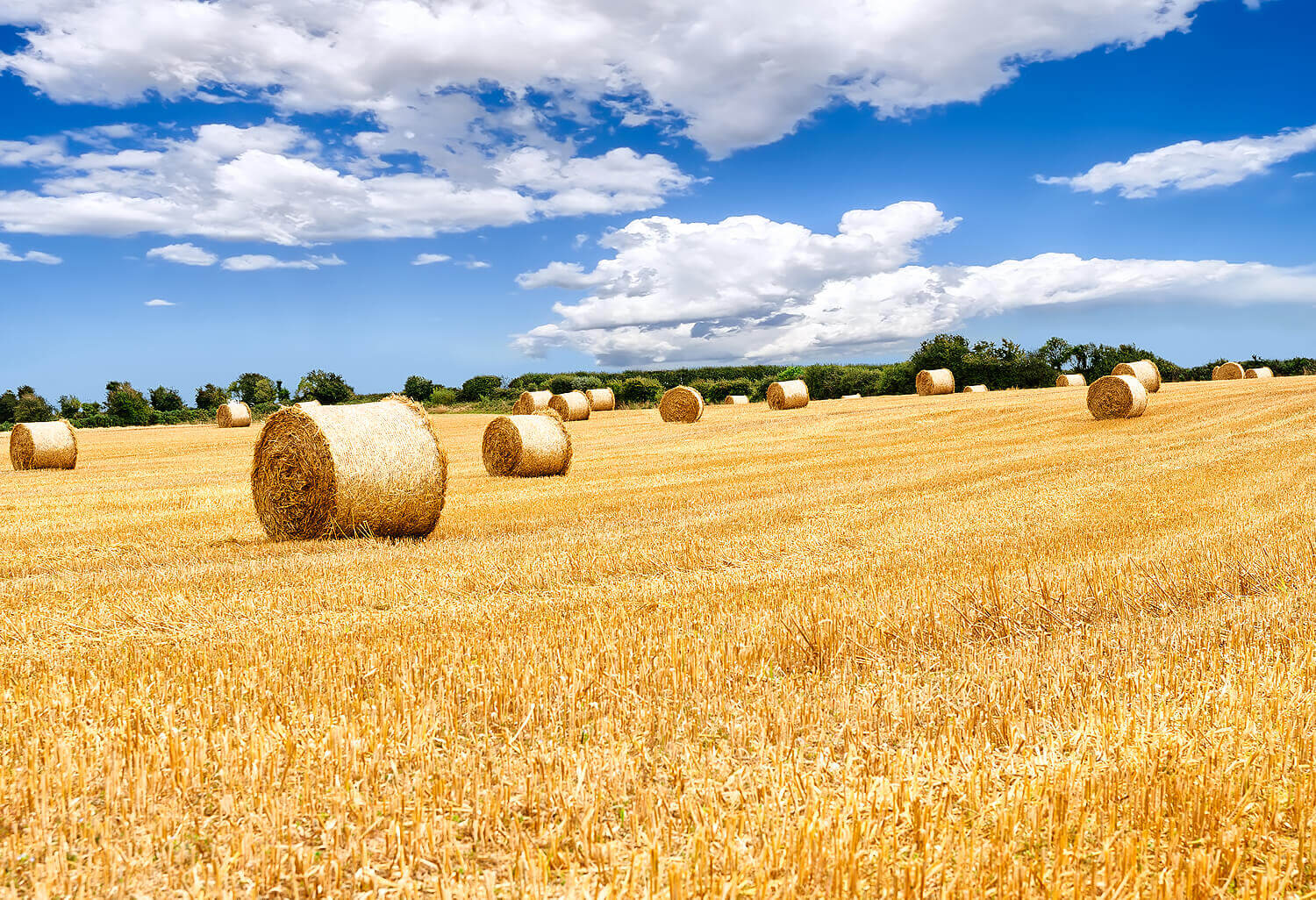 Landhandel Landhandel